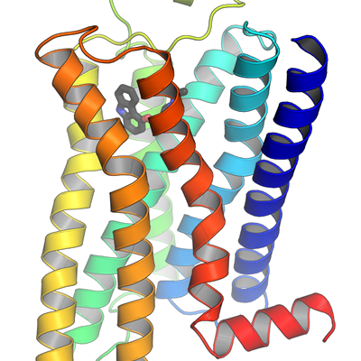 Computer model of strands of intertwined protein complex representing Biological Sciences