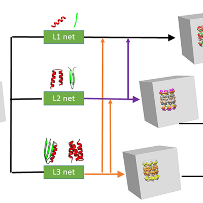 Protein structural feature libraries