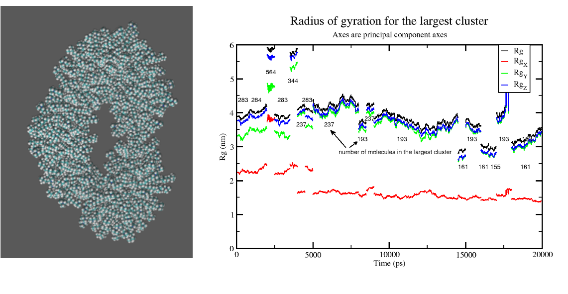 Largest cluster formed from CTAB and graph of its radius of gyration changing over time
