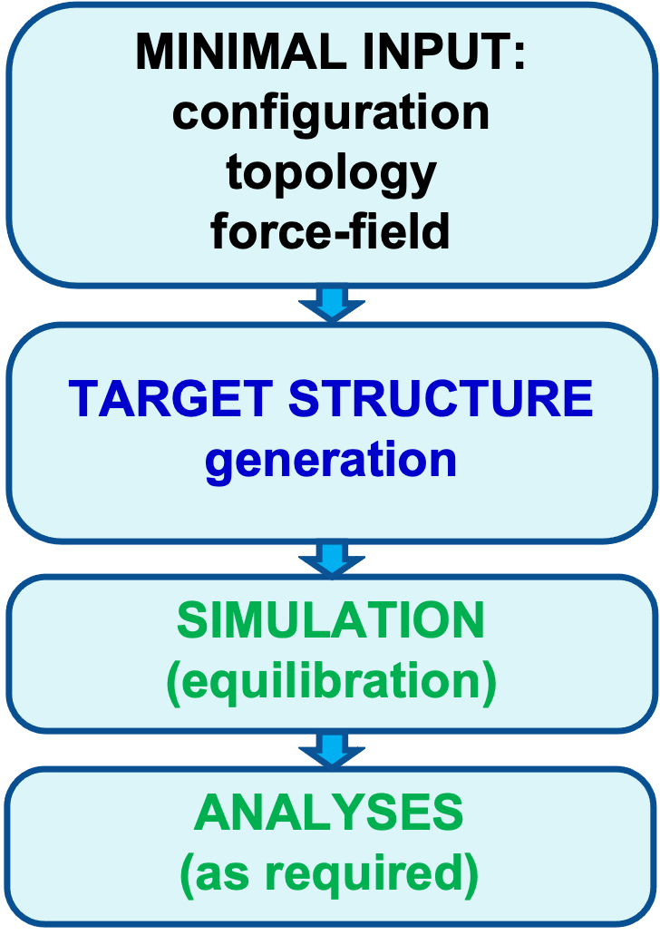 Shapespyer workflow: minimal input, target structure, simulation, analyses