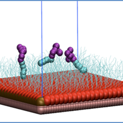 Model of surfactant molecules adsorbed on hydrophobic silica