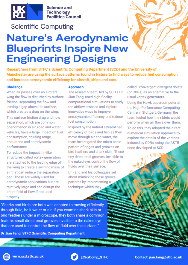 Screenshot of the case study: Nature’s Aerodynamic Blueprints Inspire New Engineering Designs 